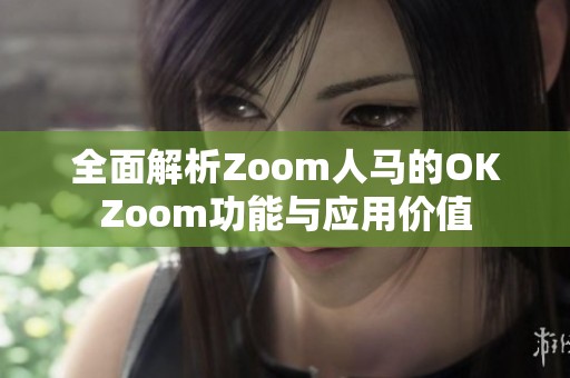 全面解析Zoom人马的OKZoom功能与应用价值