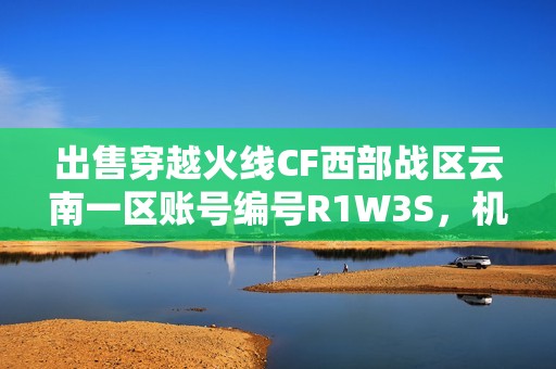 出售穿越火线CF西部战区云南一区账号编号R1W3S，机会难得请及时联系