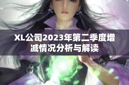 XL公司2023年第二季度增减情况分析与解读