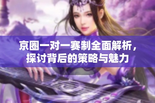 京圈一对一赛制全面解析，探讨背后的策略与魅力