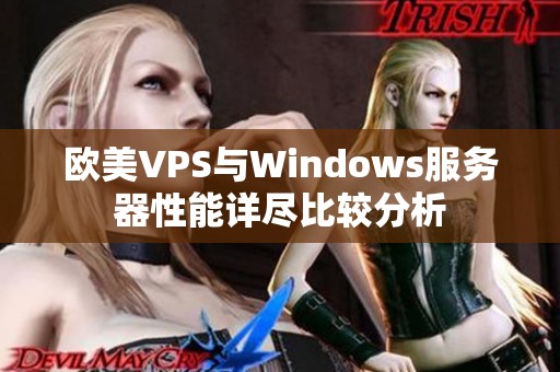 欧美VPS与Windows服务器性能详尽比较分析