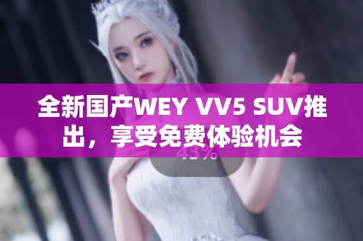 全新国产WEY VV5 SUV推出，享受免费体验机会