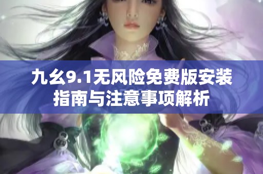 九幺9.1无风险免费版安装指南与注意事项解析