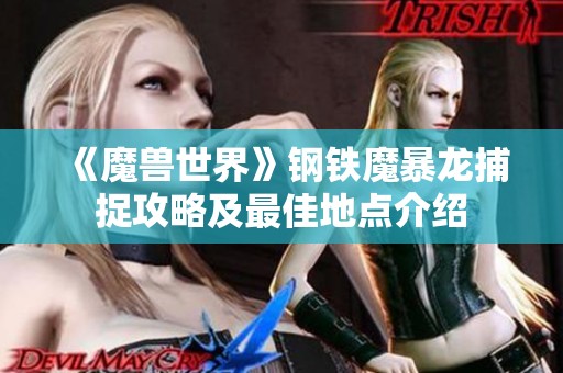 《魔兽世界》钢铁魔暴龙捕捉攻略及最佳地点介绍