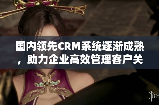 国内领先CRM系统逐渐成熟，助力企业高效管理客户关系