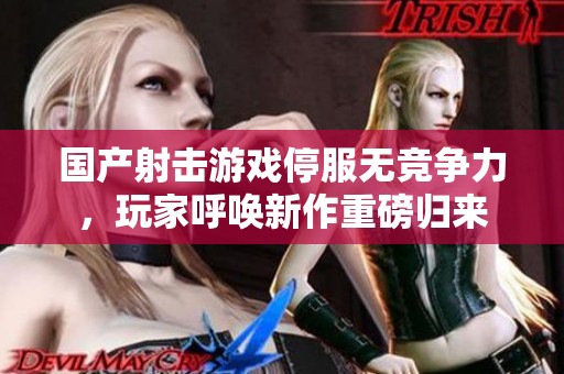 国产射击游戏停服无竞争力，玩家呼唤新作重磅归来