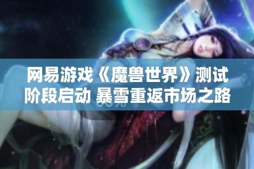 网易游戏《魔兽世界》测试阶段启动 暴雪重返市场之路充满挑战