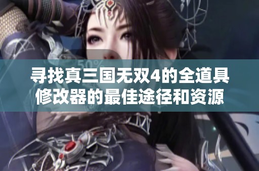 寻找真三国无双4的全道具修改器的最佳途径和资源