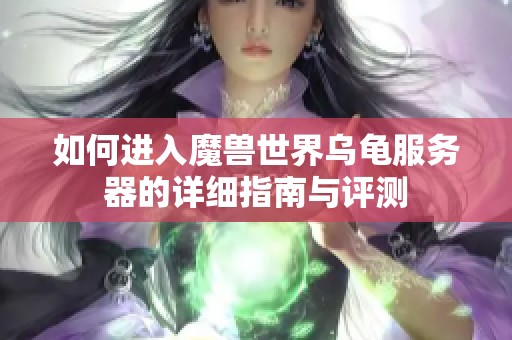 如何进入魔兽世界乌龟服务器的详细指南与评测