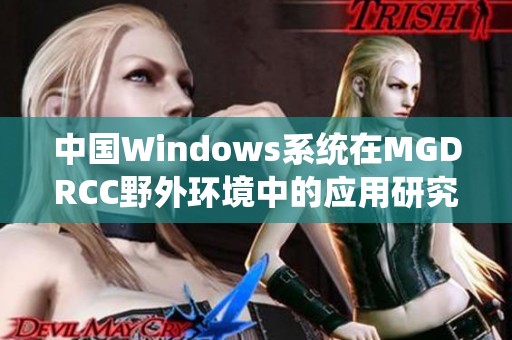 中国Windows系统在MGDRCC野外环境中的应用研究与探索