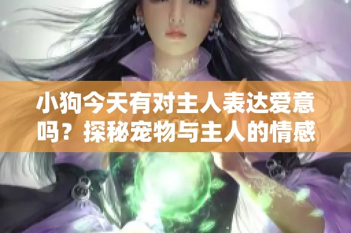 小狗今天有对主人表达爱意吗？探秘宠物与主人的情感连结