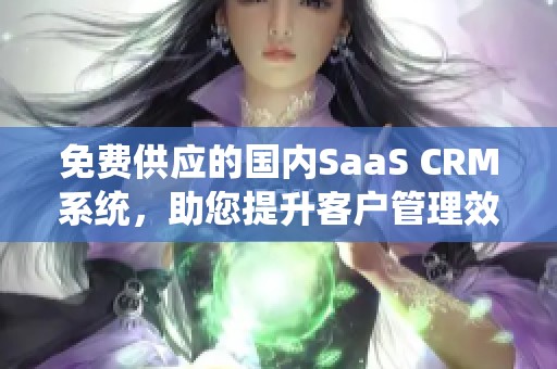 免费供应的国内SaaS CRM系统，助您提升客户管理效率