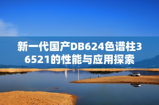 新一代国产DB624色谱柱36521的性能与应用探索