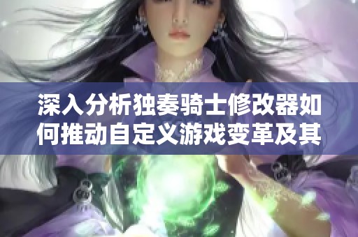 深入分析独奏骑士修改器如何推动自定义游戏变革及其行业影响